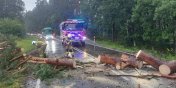 Braniewscy stra�acy usuwaj� skutki nawa�nicy