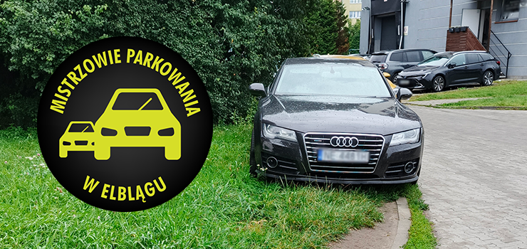 Mistrzowie Parkowania w Elbl�gu (cz�� 504)