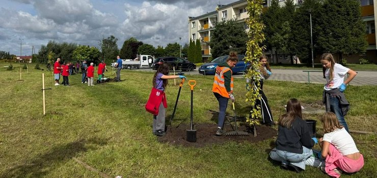 Zatorze bardziej zielone. Mieszkańcy posadzili 27 nowych drzew