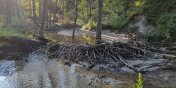 Zarwanie drogi w le�nictwie Kadyny