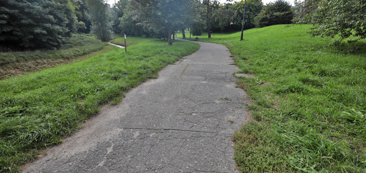 Park Oliwki czeka modernizacja?