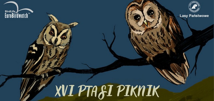XVI Ptasi Piknik w Krynicy Morskiej