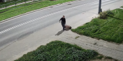 Zw�oki psa w walizce. Kobieta poszukiwana przez policj� (zobacz film)