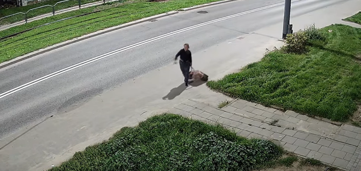 Zwłoki psa w walizce. Kobieta poszukiwana przez policję (zobacz film)