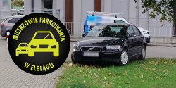 Artyku�