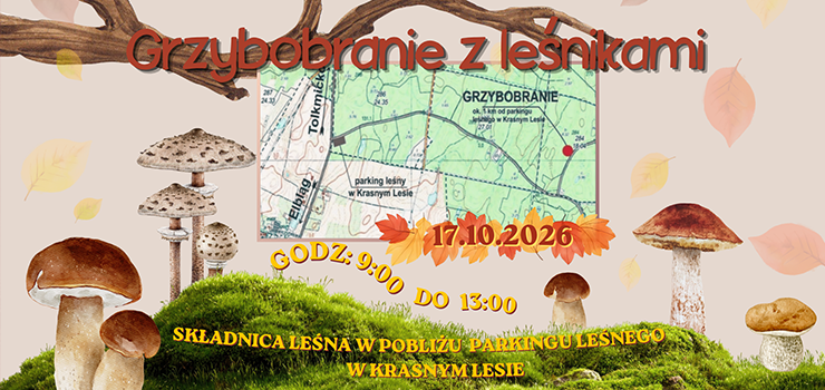 Grzybobranie z le�nikami