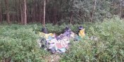 Wyrzuci� �mieci do lasu. Stra� Le�na namierzy�a sprawc�