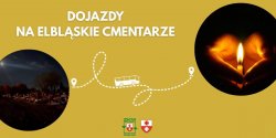 Artyku�