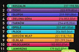 Nowa internetowa Grupa miast G17?