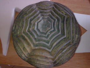 Konkurs plastyczny Ceramiony 2009