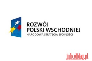 Wypracowanie strategii rozwoju w oparciu o projekt Elblg-Suwaki - koszt 994 tys. z