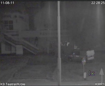 Zatrzymani dziki kamerom monitoringu