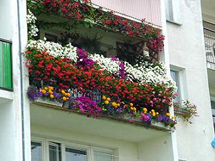 Najpikniejszy balkon - Konkurs