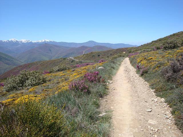 Camino – Hiszpania jakiej nie znacie