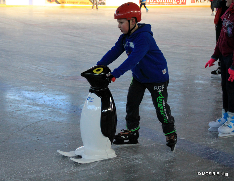 Wymyśl imię dla pingwina i wygraj karnet na lodowisko