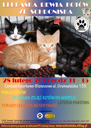 Druga Elblska Rewia Kotw ze schroniska