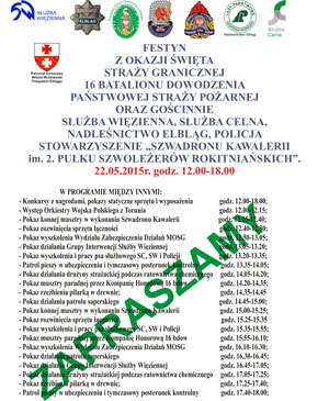 IV edycja pikniku „ Festyn Mundurowy 2015”