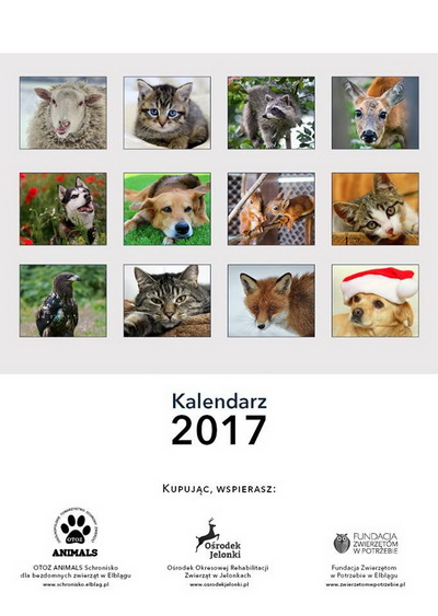 Już jest! Zachęcamy do zakupu pięknego charytatywnego kalendarza na 2017 rok!