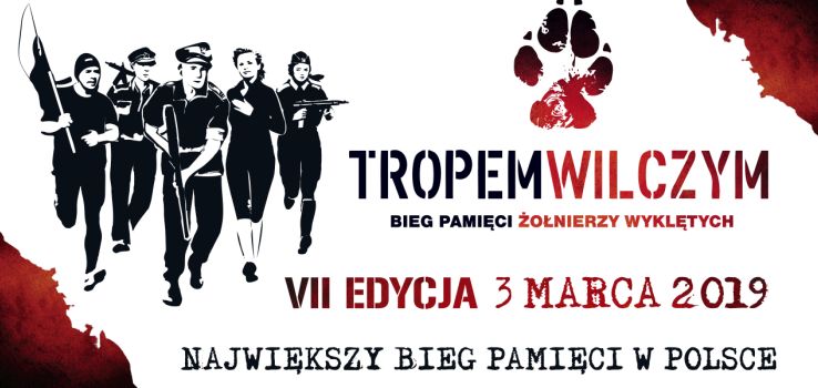 VIII Bieg Tropem Wilczym w Elblągu