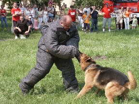 Ale kasa, ale zabawa (fotoreporta)