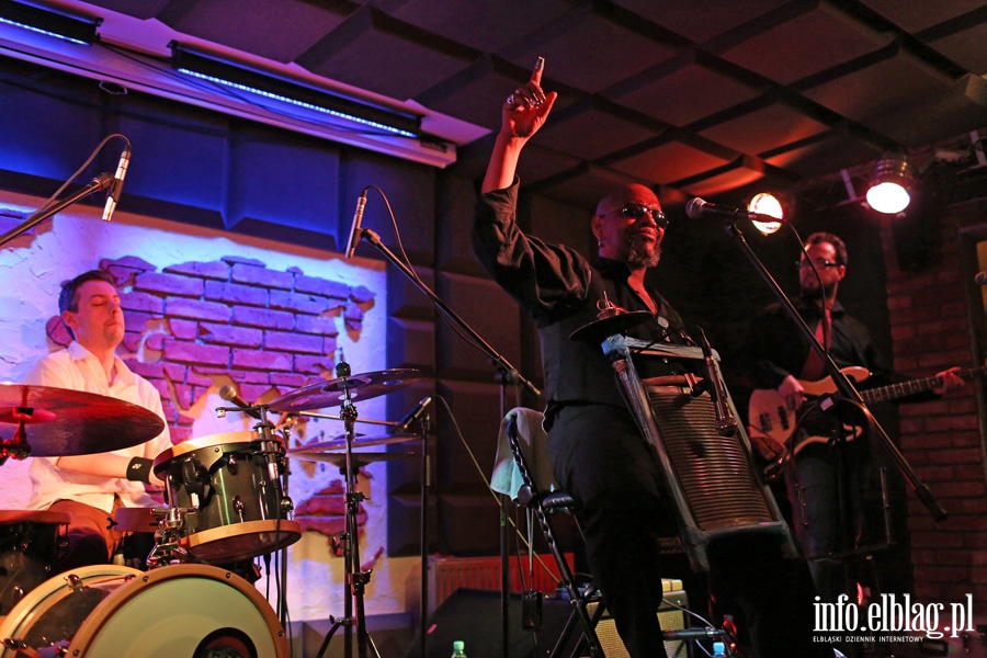 Koncert Steva Wilkinsona z zespołem Tres Hombres, fot. 4