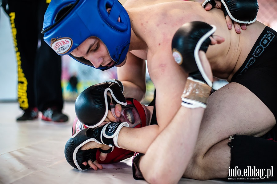 Puchar Polski Pnocnej Amatorskiego MMA w Elblgu , fot. 2