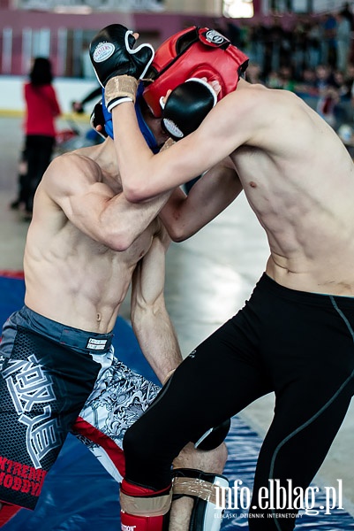 Puchar Polski Północnej Amatorskiego MMA w Elblągu , fot. 6