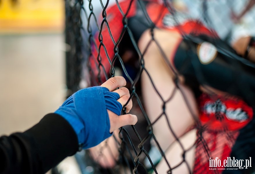 Puchar Polski Północnej Amatorskiego MMA w Elblągu , fot. 9