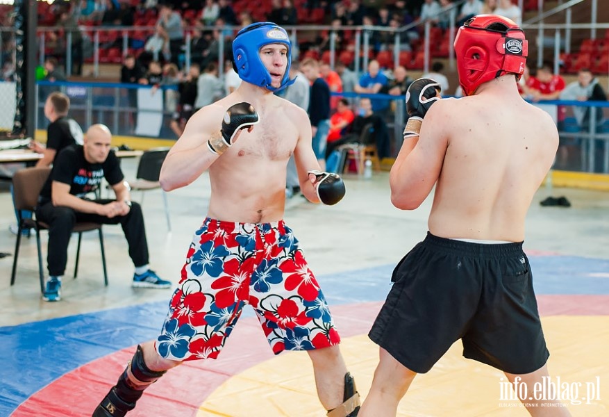 Puchar Polski Pnocnej Amatorskiego MMA w Elblgu , fot. 65