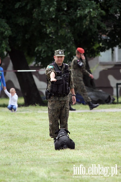 Pokazy służb mundurowych, fot. 59