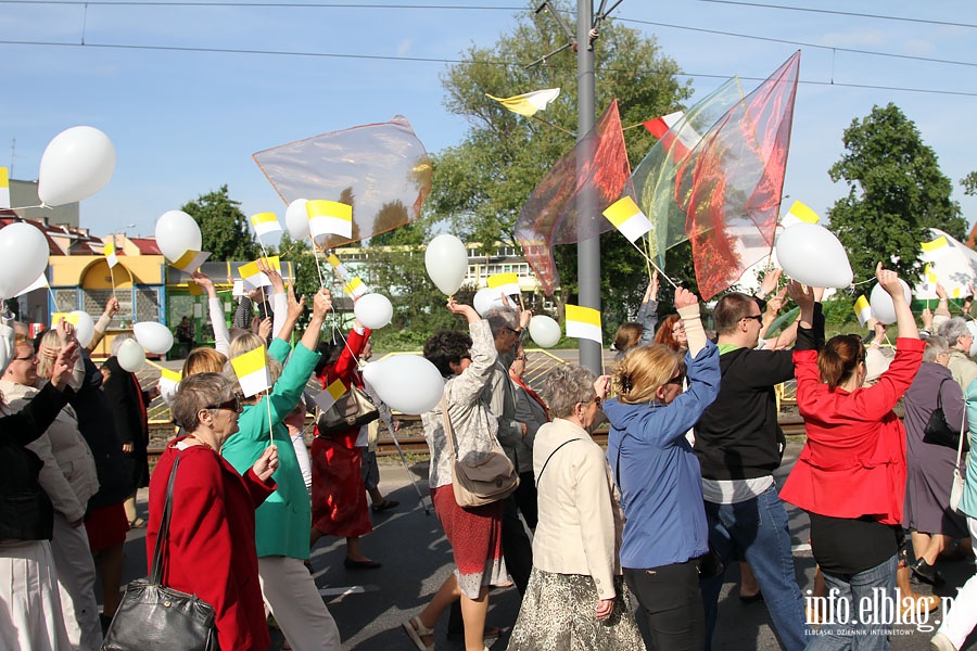 IV Marsz w obronie ycia i rodziny - Elblg 1.06.2014r., fot. 29