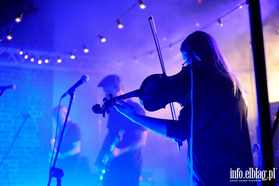 Panel dyskusyjny i koncert Waglewski Fish Emade w ramach 11-Letnich Ogrodow-Polityki-2014, fot. 32