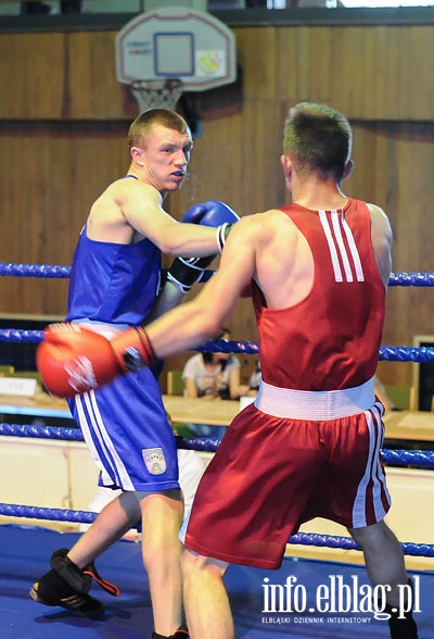 Dzie drugi  Grand Prix Polskiego Zwizku Bokserskiego, fot. 4