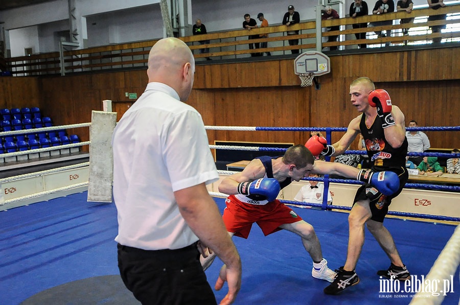 Dzie drugi  Grand Prix Polskiego Zwizku Bokserskiego, fot. 44