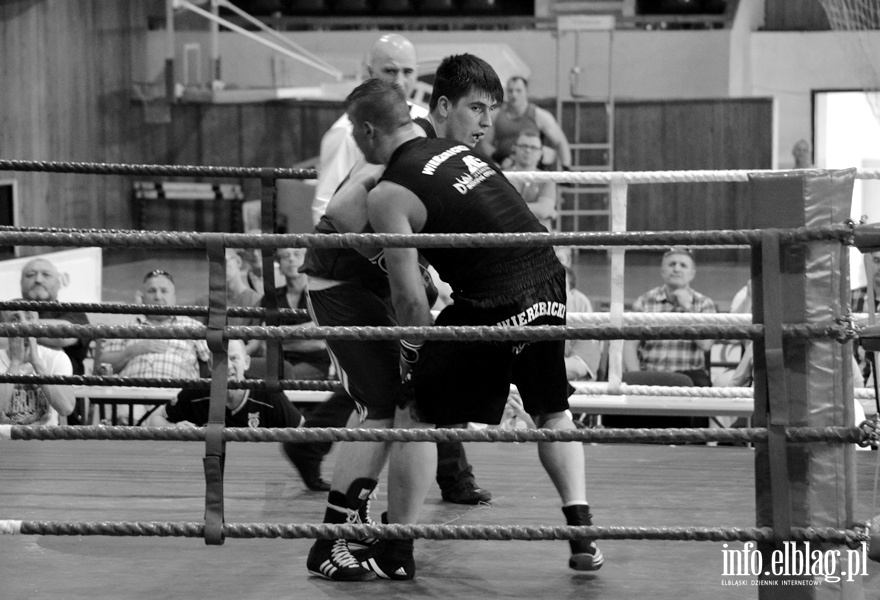 Grand Prix w boksie - półfinały, fot. 7