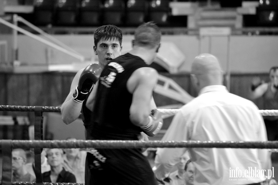 Grand Prix w boksie - półfinały, fot. 8