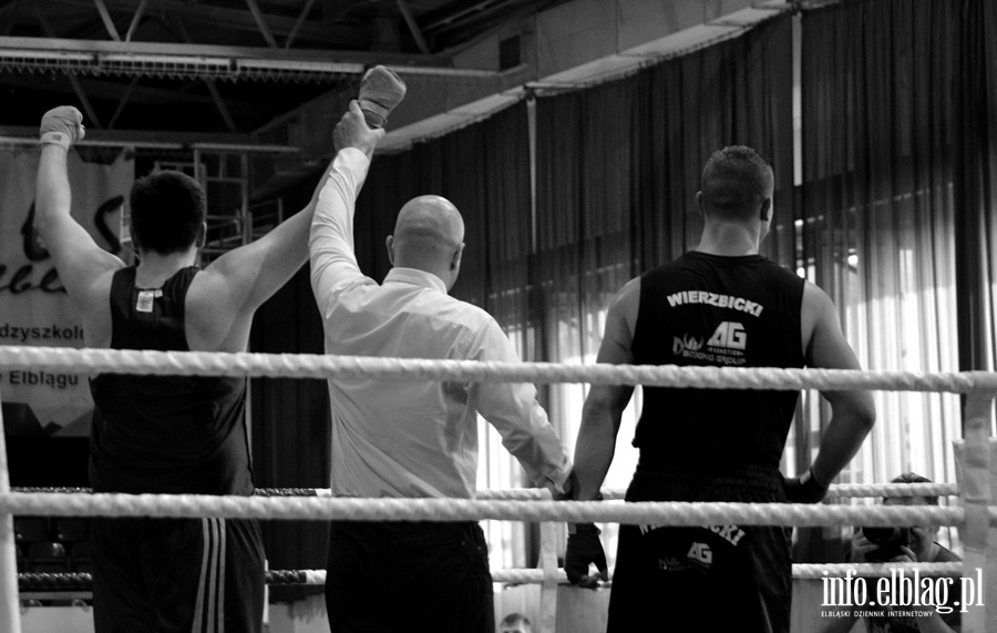 Grand Prix w boksie - półfinały, fot. 16