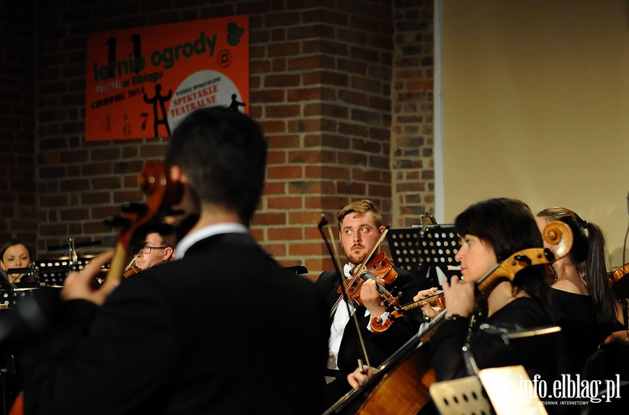  Panel dyskusyjny i koncert Elbląska Orkiestra Kameralna, TWOGether Duo, Marcin Masecki  podczas 11 Ogrodów Polityki , fot. 11