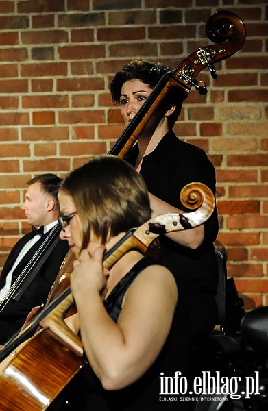  Panel dyskusyjny i koncert Elbląska Orkiestra Kameralna, TWOGether Duo, Marcin Masecki  podczas 11 Ogrodów Polityki , fot. 14