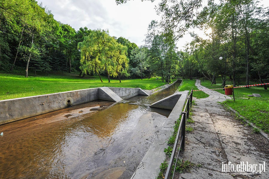 Park Dolinka, czerwiec 2014r., fot. 11