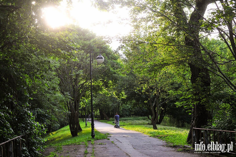 Park Dolinka, czerwiec 2014r., fot. 18