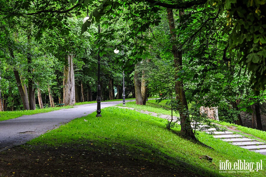 Park Dolinka, czerwiec 2014r., fot. 29