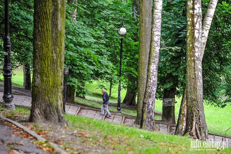 Park Dolinka, czerwiec 2014r., fot. 31