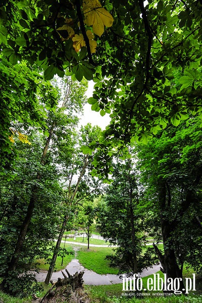 Park Dolinka, czerwiec 2014r., fot. 32