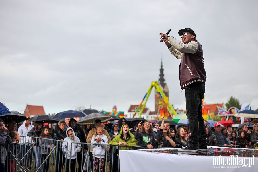 Dni Elbląga 2014 - koncerty na Wyspie Spichrzów, fot. 16