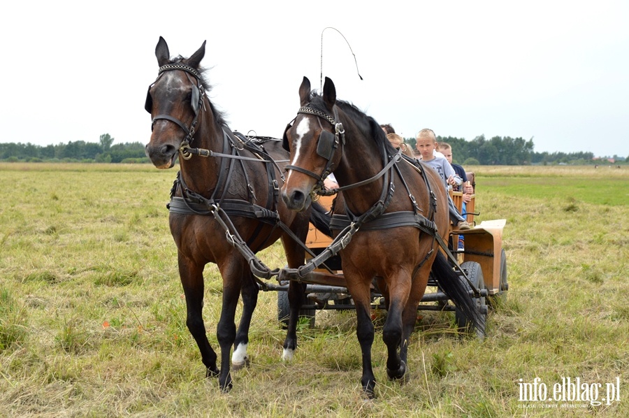Piknik na początek wakacji, fot. 15