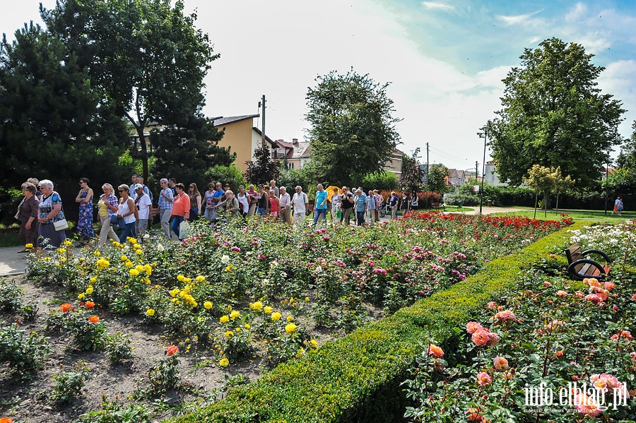 Park Kajki - dawny Rany Ogrd, fot. 12