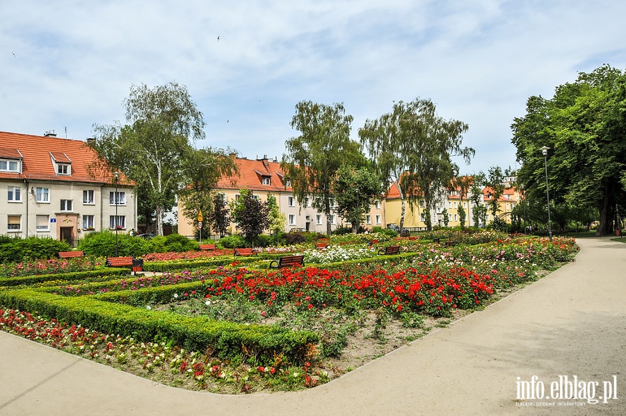 Park Kajki - dawny Rany Ogrd, fot. 57
