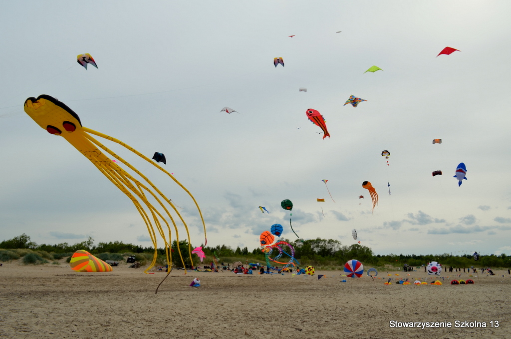 XIV Midzynarodowy Festiwal Latawcw - Mikoszewo 2014, fot. 24