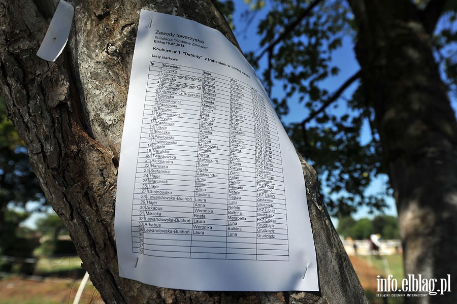 II runda rozgrywek Amatorskiej Ligii Jeździeckiej Elbląga, fot. 11